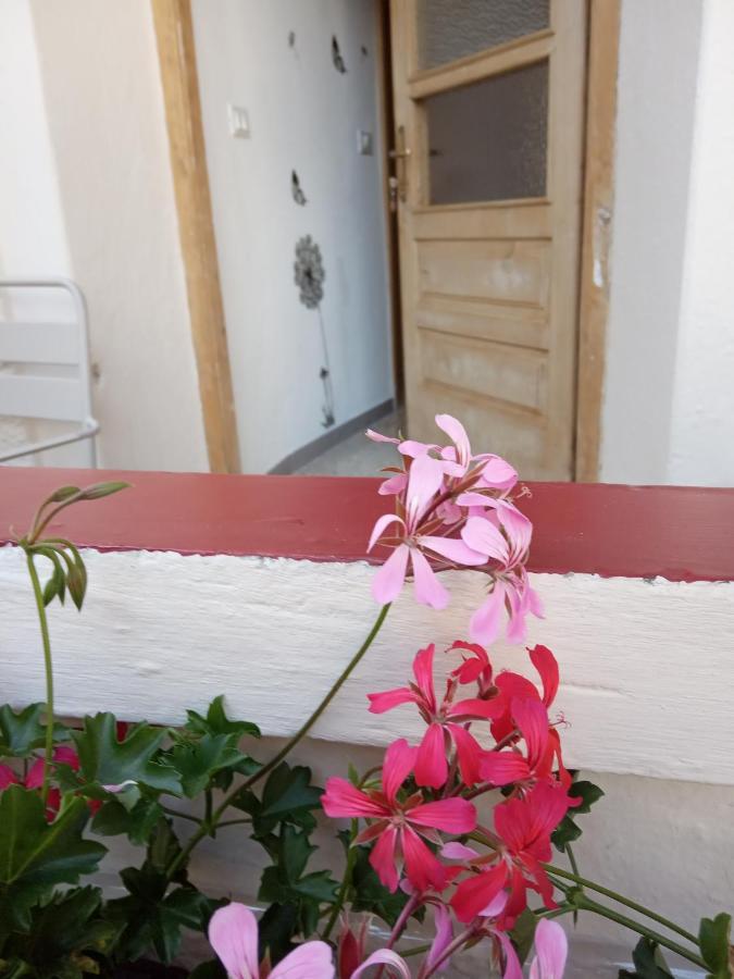 Da Valentina Appartement Castelfondo Buitenkant foto